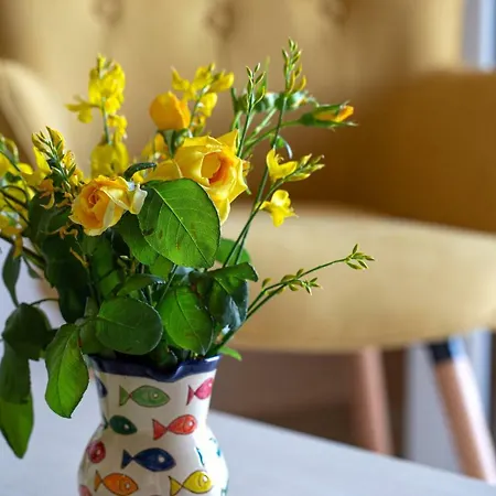 Appartement Antigone Argostóli